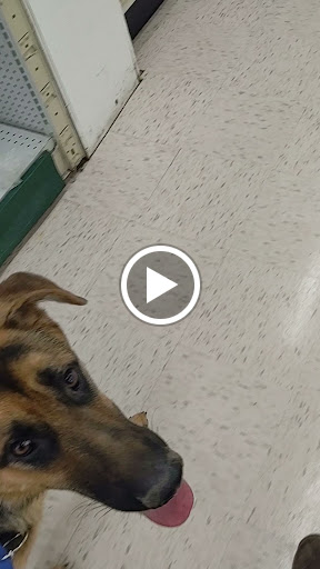 Farm Equipment Supplier «Family Farm & Home», reviews and photos, 66875 Gratiot Ave, Richmond, MI 48062, USA