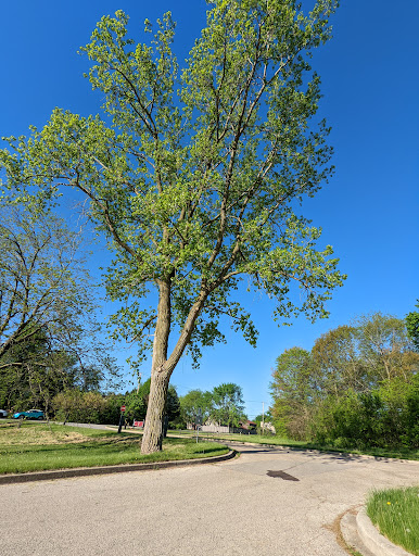 Nature Preserve «Bode Lake», reviews and photos, Bode Rd, Streamwood, IL 60107, USA