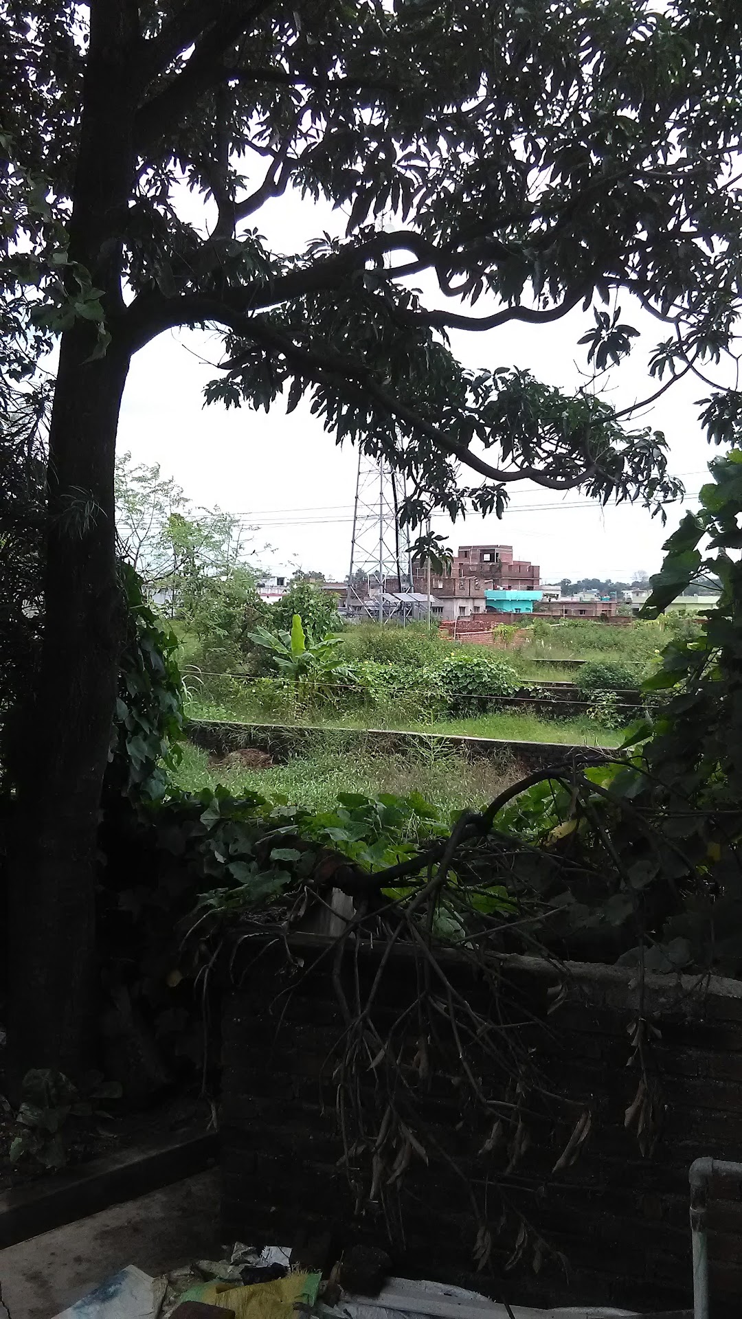 Electricity Office