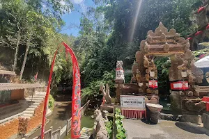 Pura Taman Pecampuhan Sala image