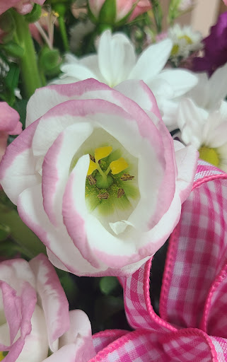 Florist «Berlin Blossom Shoppe», reviews and photos, 136 S White Horse Pike, Berlin, NJ 08009, USA
