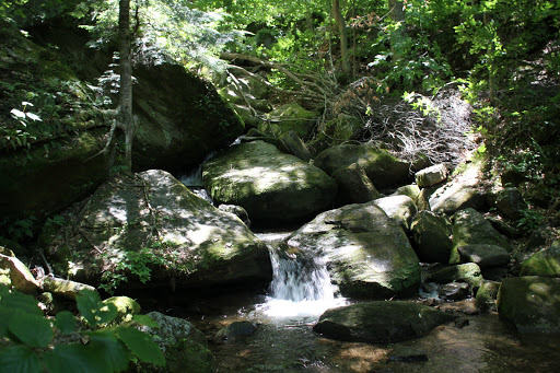 Fishing Area «Kinzua Dam», reviews and photos