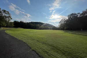 Golf Club of Tennessee image