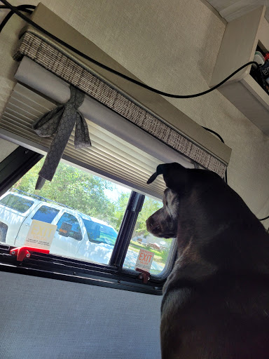 Kennel «Sandy Oaks Kennel, Daycare and Spaw», reviews and photos, 146 Lamar Dr, Rockport, TX 78382, USA