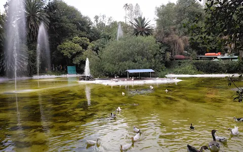 Lago de los Patos image