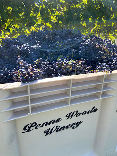 Winery «Penns Woods Winery», reviews and photos, 124 Beaver Valley Rd, Chadds Ford, PA 19317, USA