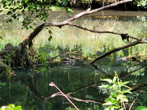 Tourist Attraction «Blackstone Valley Bike Path», reviews and photos, 207 N Main St, Millbury, MA 01527, USA