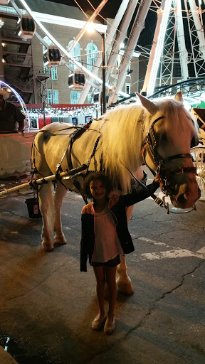 Amusement Park Ride «SkyView Atlanta», reviews and photos, 168 Luckie St NW, Atlanta, GA 30303, USA