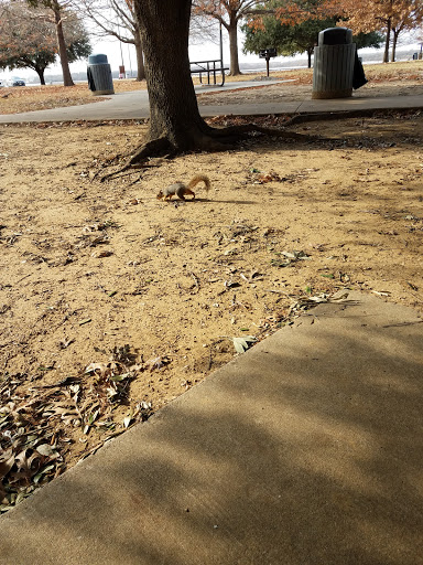 Park «Bowman Springs Park», reviews and photos, 7003 W Poly Webb Rd, Arlington, TX 76016, USA