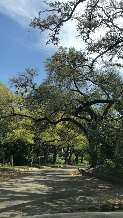 Roofing Service, Alamo Heights, TX 