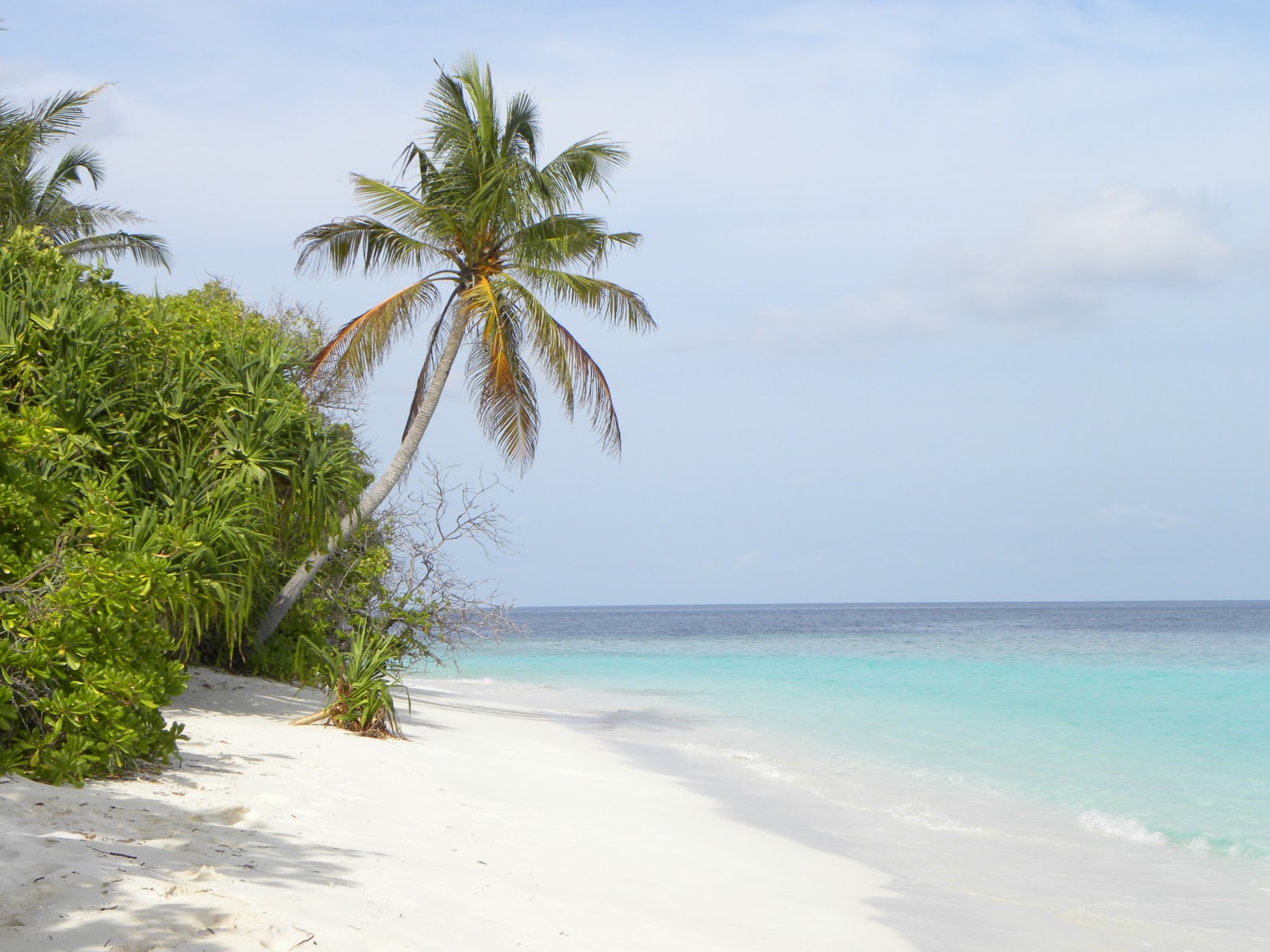 Enboodhoo Island Beach的照片 具有非常干净级别的清洁度