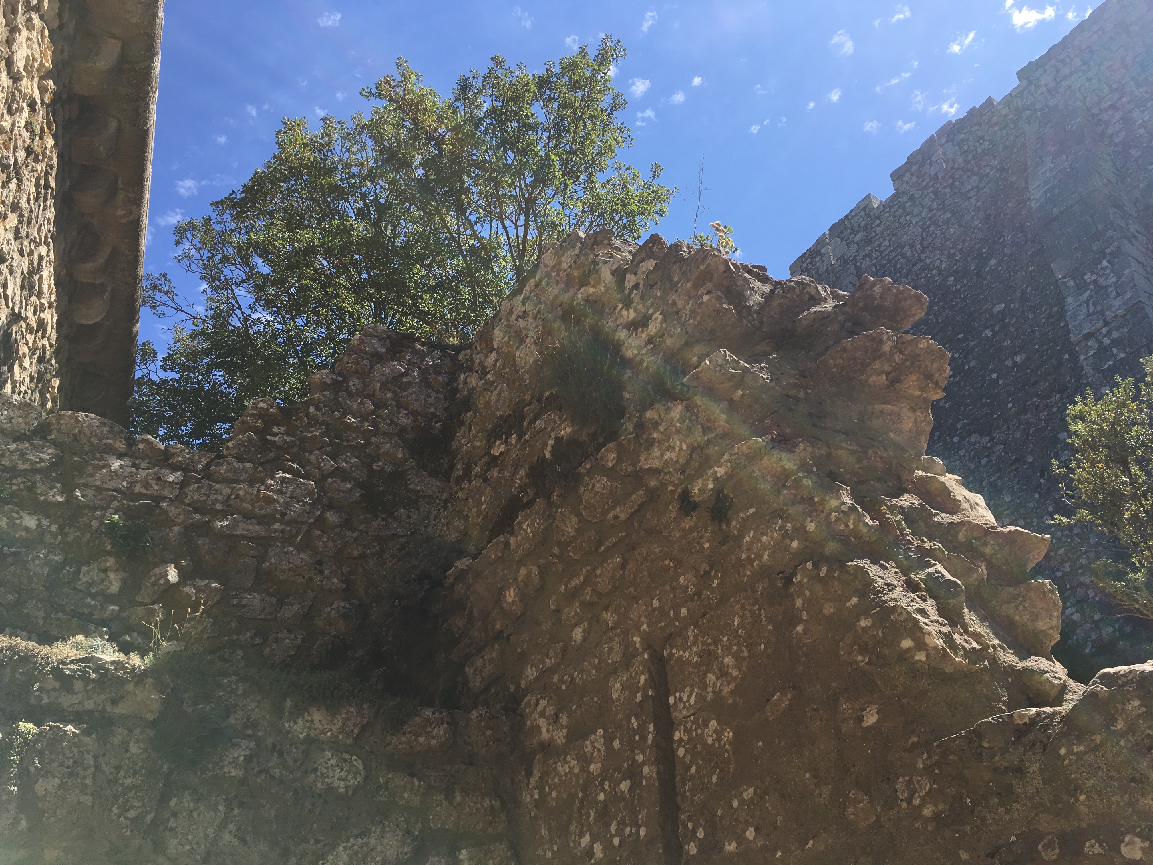 Photo n° 28 de l'avis de Guillaume. fait le 14/08/2019 à 18:59