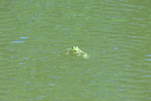 Park «Bogan Park Community Recreation & Aquatic Center», reviews and photos, 2723 N Bogan Rd NE, Buford, GA 30519, USA