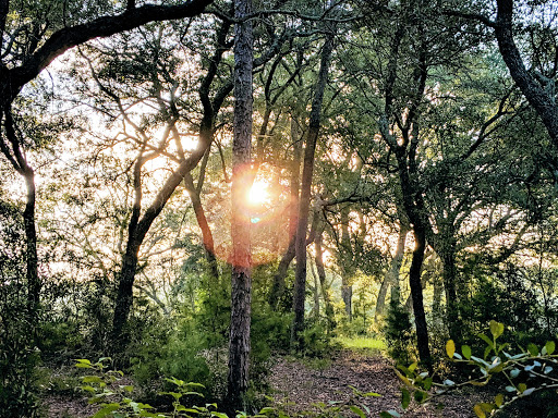 Public Golf Course «Eglin Golf Course», reviews and photos, 1527 Fairway Dr, Niceville, FL 32578, USA