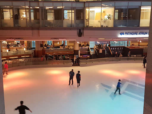 Skating rinks in Montreal