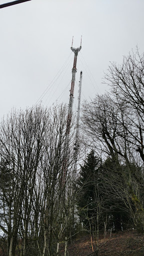 State Park «Willamette Stone State Heritage Site», reviews and photos, 253 NW Skyline Blvd, Portland, OR 97210, USA