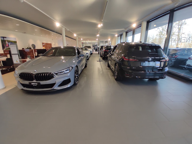 Rezensionen über Steiner Group AG Buochs BMW Partner in Sarnen - Autowerkstatt