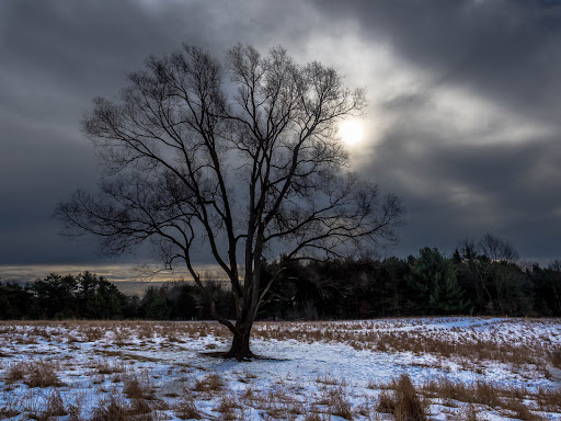 Nature Preserve «Al Sabo Land Preserve», reviews and photos, 6310 Texas Dr, Kalamazoo, MI 49009, USA