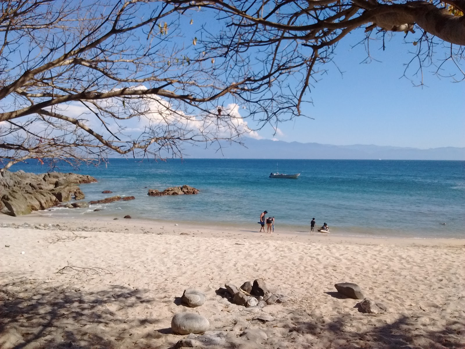 Photo of Palito Verde beach wild area