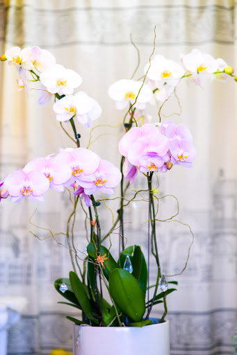 Florist «Melody Flowers», reviews and photos, 14520 Brookhurst St, Westminster, CA 92683, USA