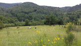 Natura Cheval Ariège Montfa