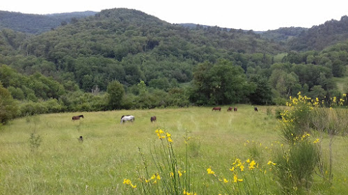 Centre équestre Natura Cheval Ariège Montfa