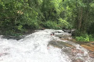 Pattathippara Water Falls image