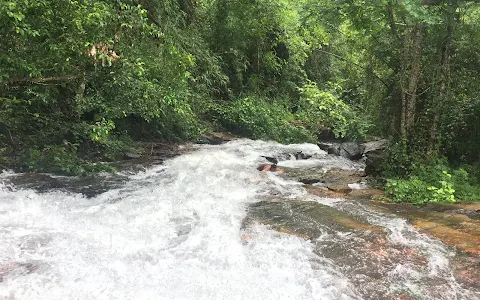 Pattathippara Water Falls image