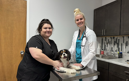 Tinkers Creek Veterinary Clinic image
