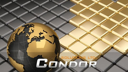 Condor POS Solutions