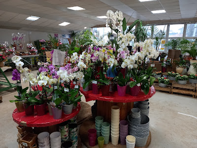 Servifleurs Libre Service Fleurs Et Plantes à Vouziers