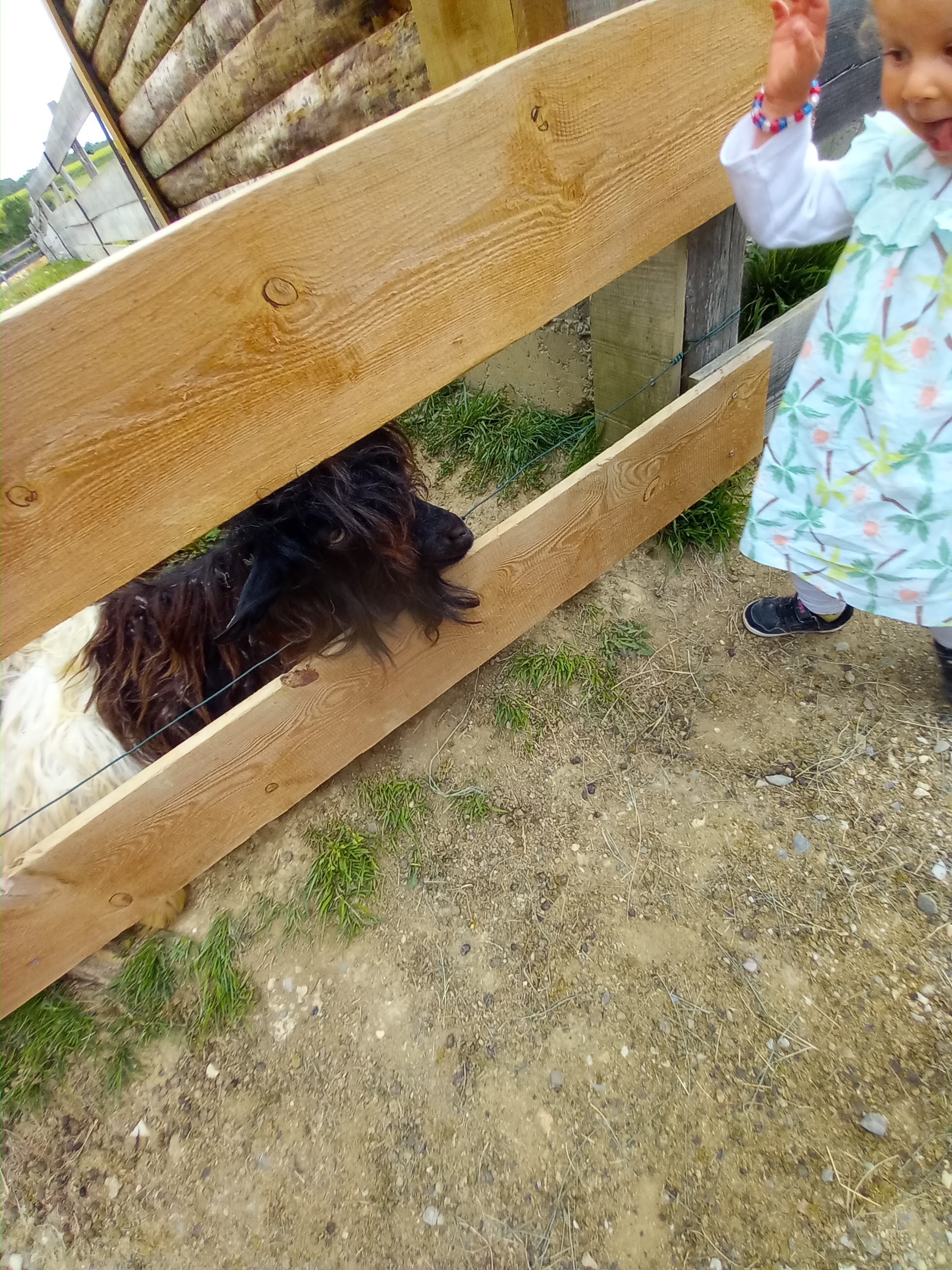 Photo n° 12 de l'avis de Estelle.u fait le 20/08/2021 à 13:14