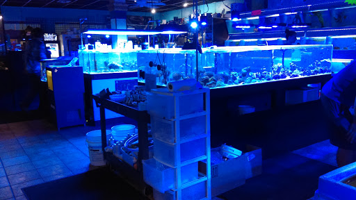 Pet Supply Store «Aquariums and Reptiles», reviews and photos, 11400 S Cleveland Ave, Fort Myers, FL 33907, USA