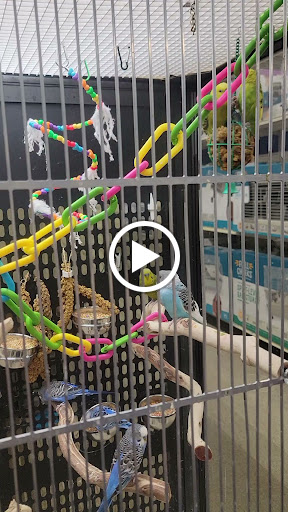 Pet Supply Store «Petco Animal Supplies», reviews and photos, 17132 W Colfax Ave, Golden, CO 80401, USA