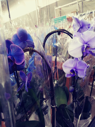 Home Improvement Store «The Home Depot», reviews and photos, 1255 Ten Rod Rd, North Kingstown, RI 02852, USA