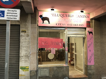Peluquería canina Barber Dog - Servicios para mascota en Málaga