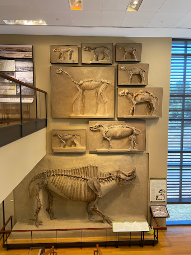 Museum «Beneski Museum of Natural History», reviews and photos, 11 Barrett Hill Rd, Amherst, MA 01002, USA