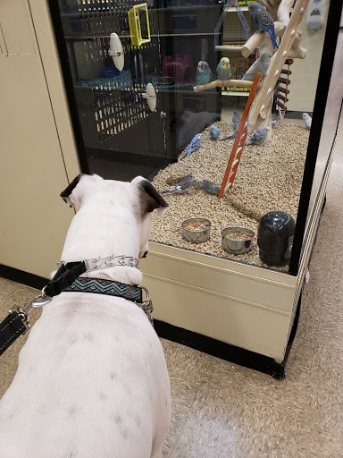 Pet Supply Store «PetSmart», reviews and photos, 156 Old Little Britain Rd, Newburgh, NY 12550, USA