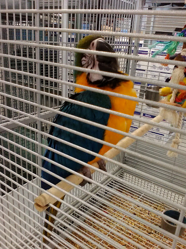 Pet Store «Fish Bowl», reviews and photos, 2117 E Race Ave, Searcy, AR 72143, USA