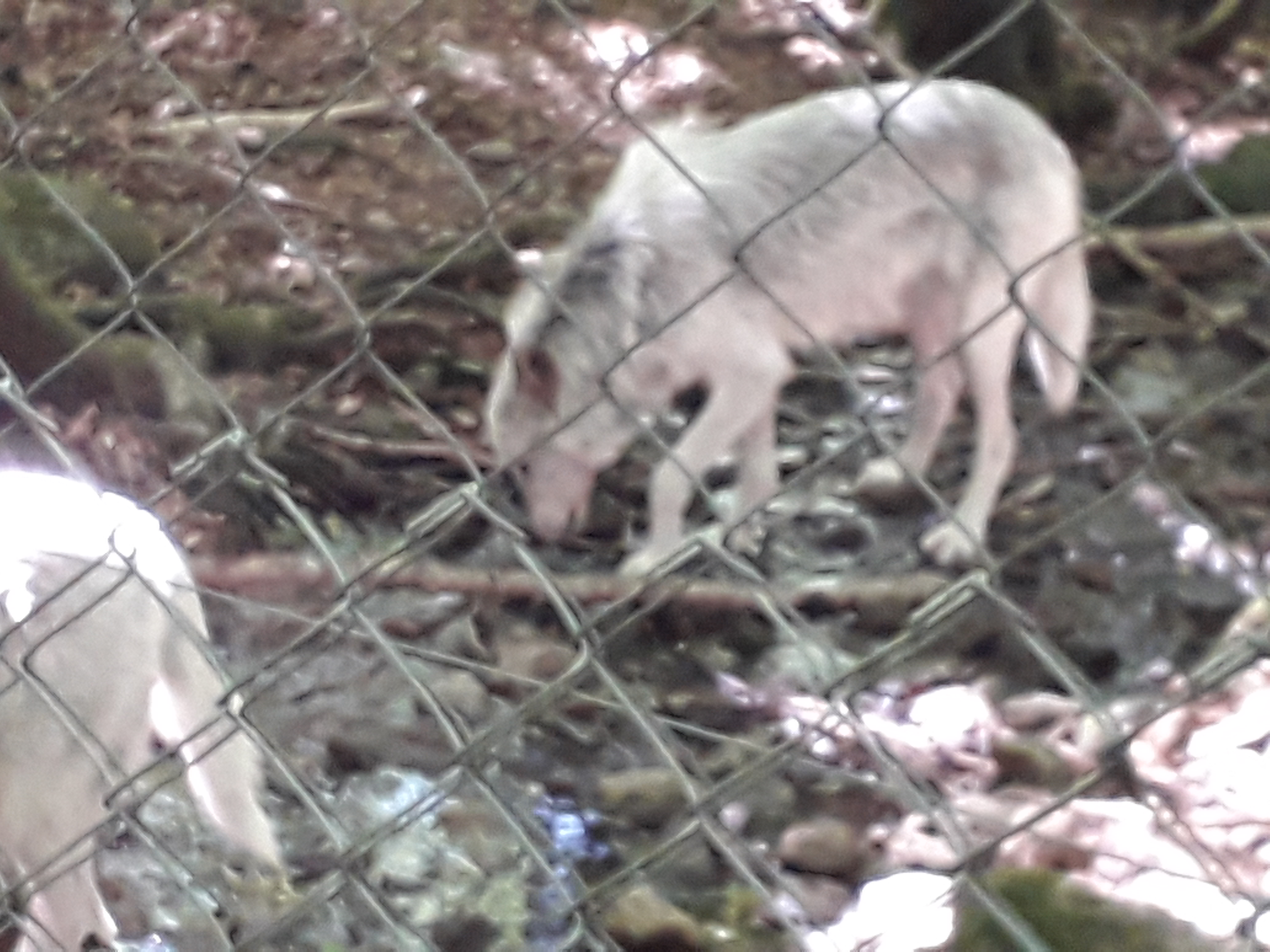 Photo n° 2 de l'avis de Franck.i fait le 19/07/2020 à 15:45