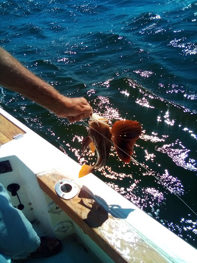 Country Club «Warwick Country Club», reviews and photos, 394 Narragansett Bay Ave, Warwick, RI 02889, USA