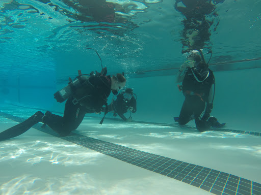 Dive Shop «Orbit Marine Sports Center Inc», reviews and photos, 3273 Fairfield Ave, Bridgeport, CT 06605, USA