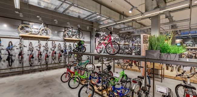 Rezensionen über Bike World Muri in Sitten - Sportgeschäft