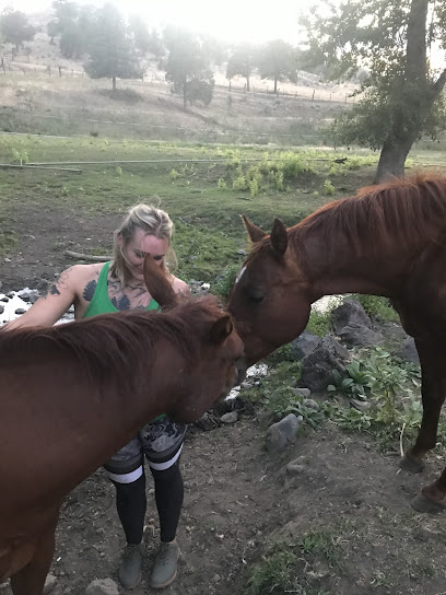 Front Range Ranch and Rescue