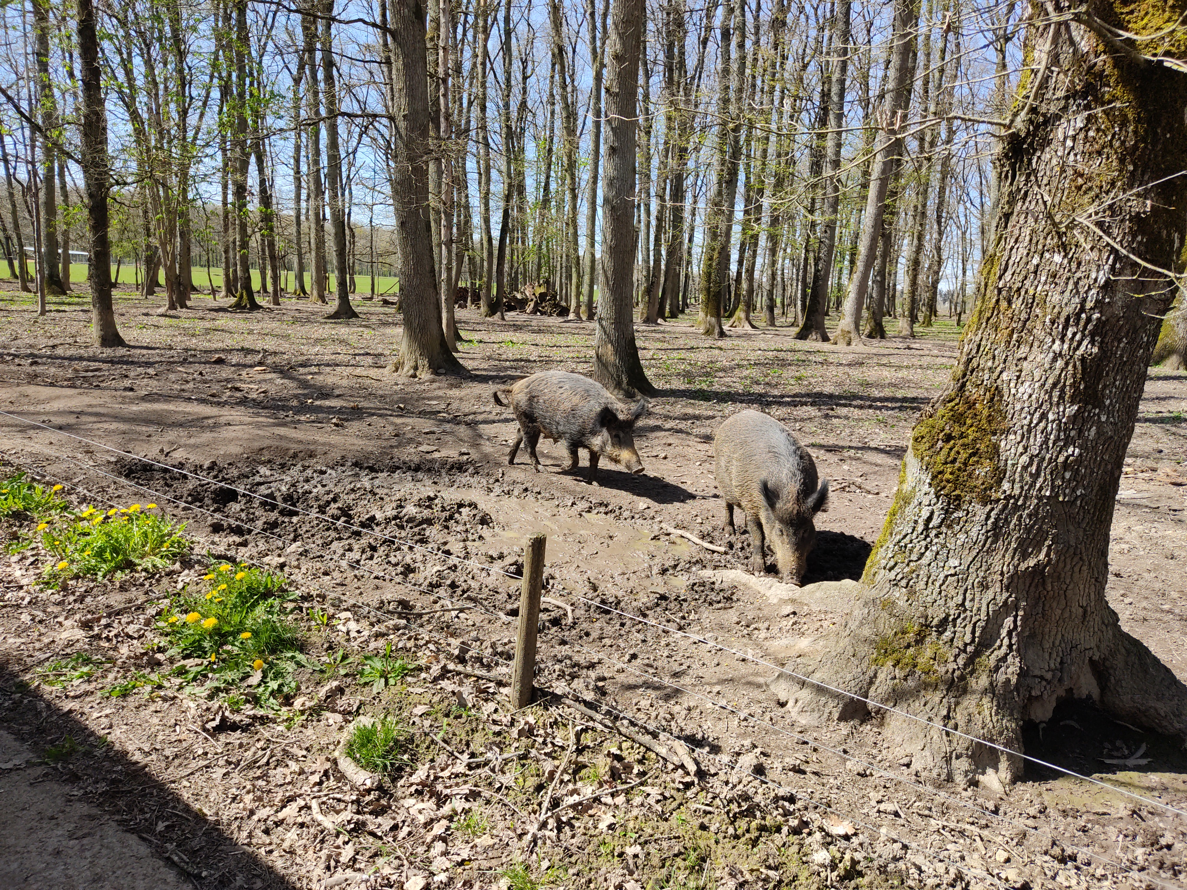 Photo n° 3 de l'avis de Fatima.e fait le 09/04/2023 à 16:08