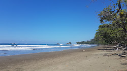 Foto av Dominicalito Beach med long bay