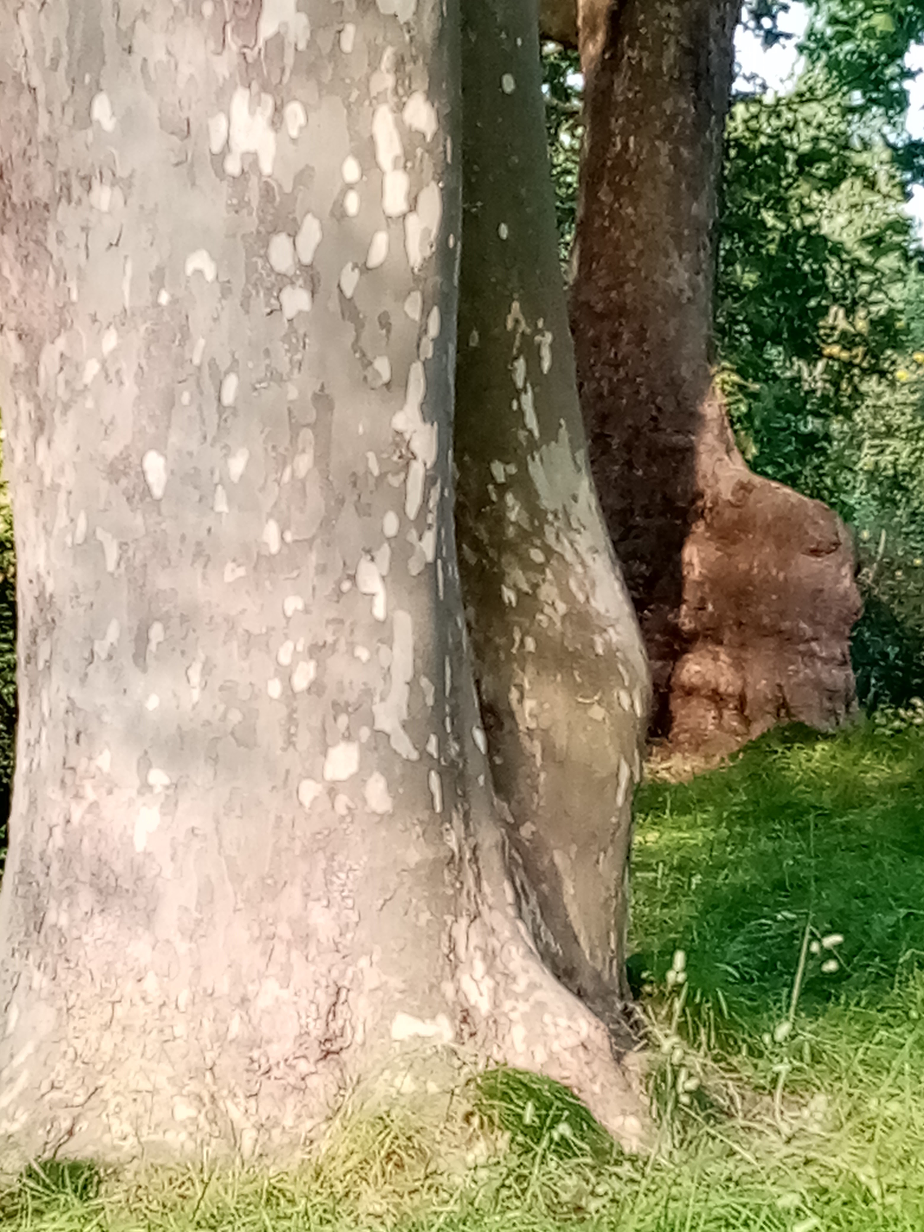 Photo n° 23 de l'avis de Sylvie.a fait le 11/10/2021 à 06:16