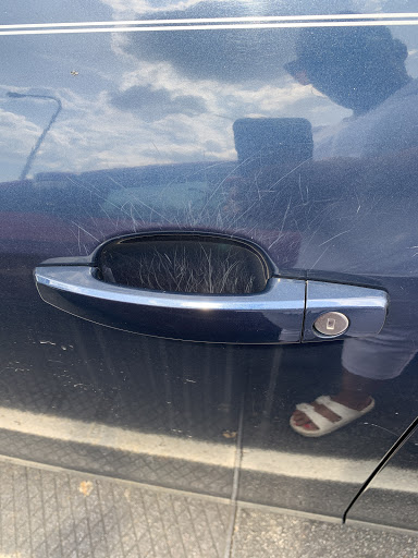 Used Car Dealer «321 Drive», reviews and photos, 4000 Charlotte Ave, Nashville, TN 37209, USA