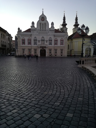 Comentarii opinii despre Palatul Episcopal Sârb