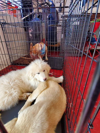 Skiatook Paws and Claws Animal Rescue, Inc